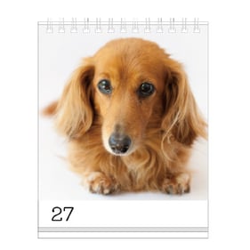 Month-day_11-100